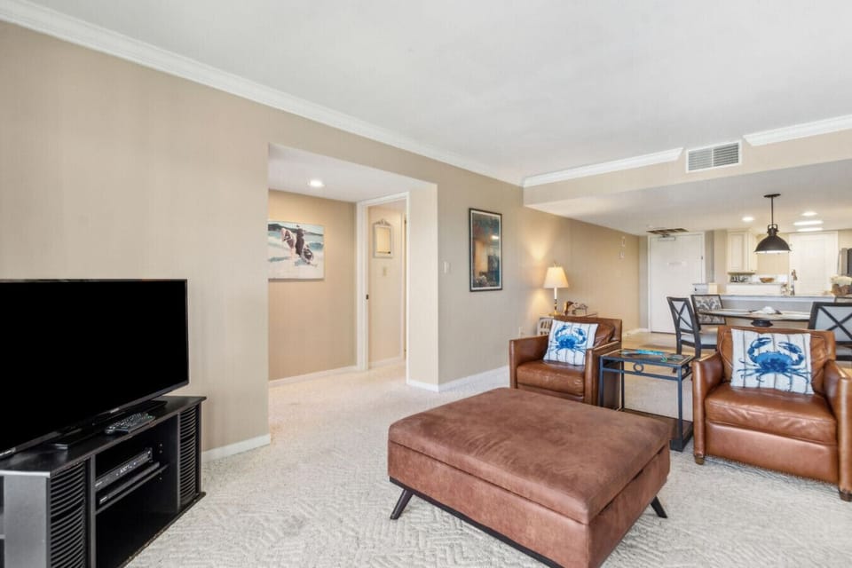 Living room with pull out sofa and cable tv