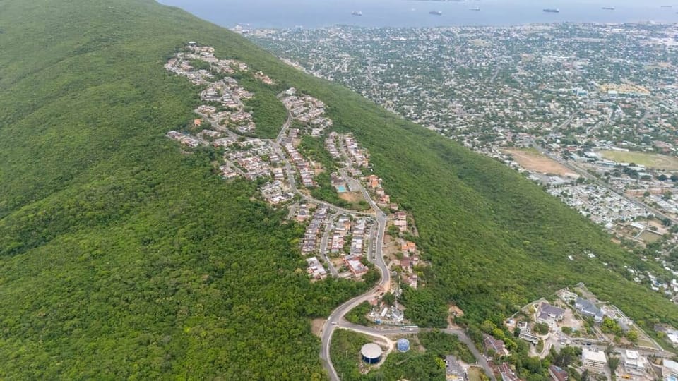 Lush, green surroundings — the best of city and nature