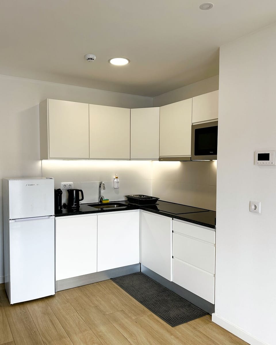 Apartment, 1 Bedroom, Balcony | Private kitchenette | Fridge, microwave, oven, stovetop