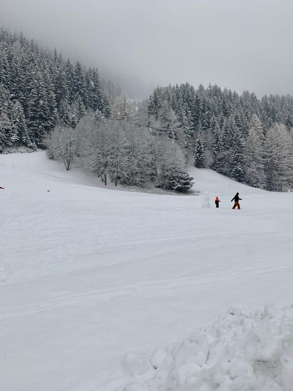Snow and ski sports
