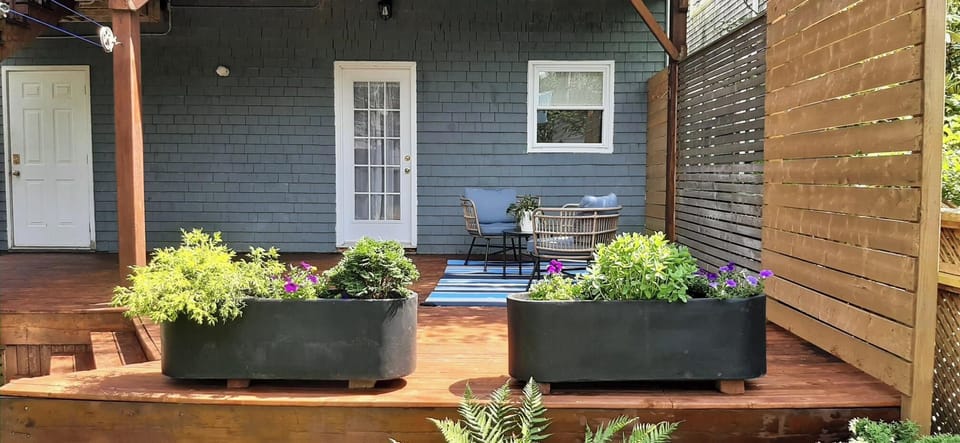 Patio and backyard