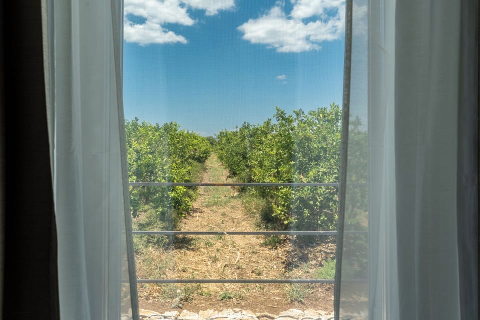 Classic Villa | View from room