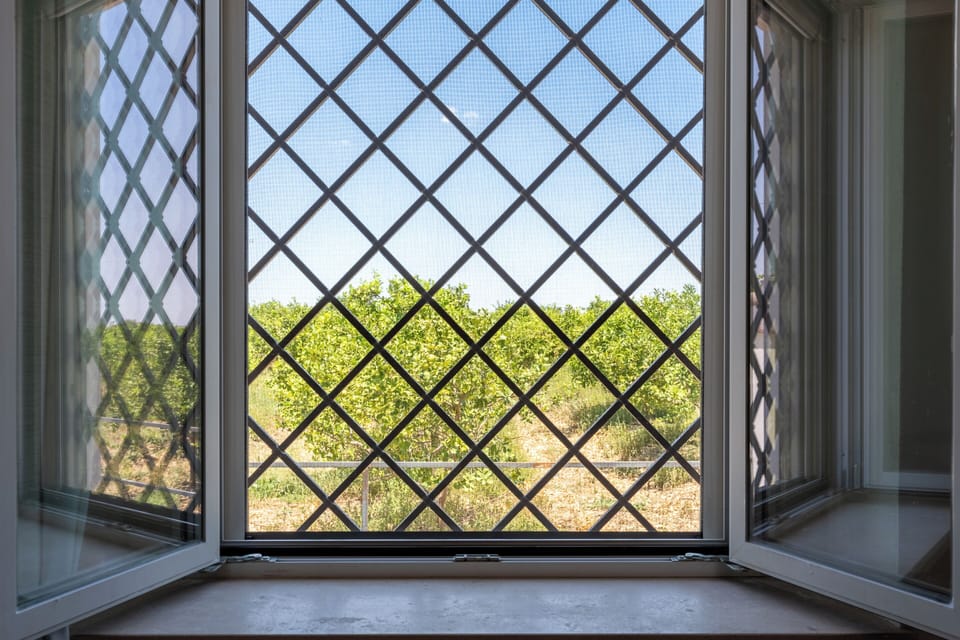 Classic Villa | View from room