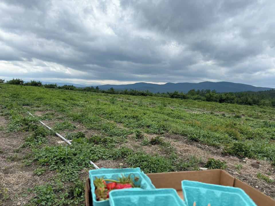 Wellwood orchards Springfield, Vt