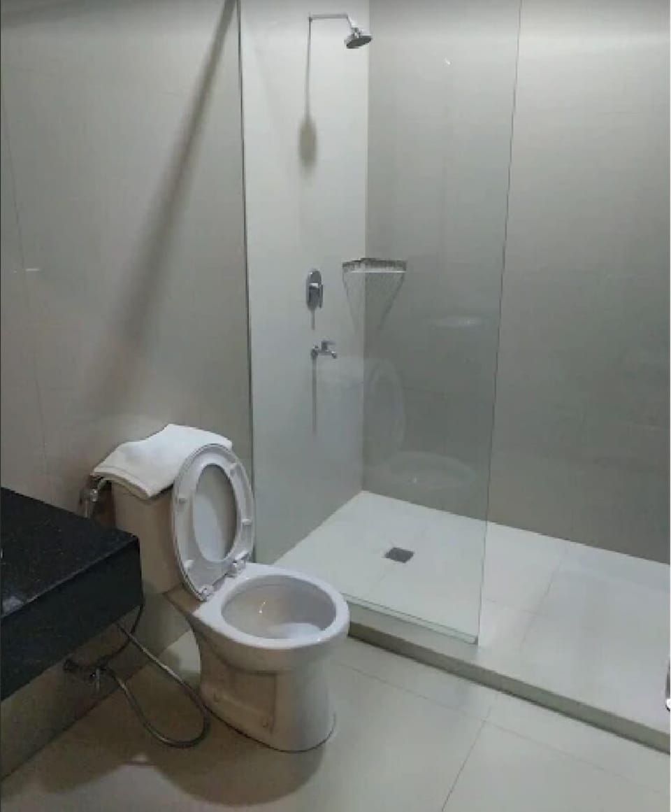 Shower, bidet, towels