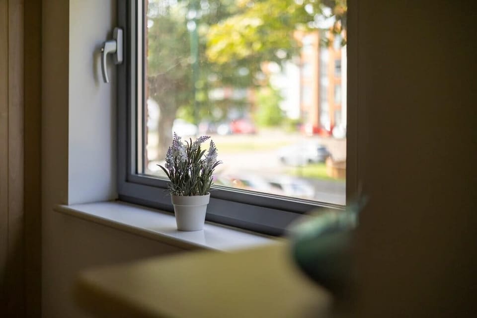 Bright and minimal single room featuring a spacious window and calming atmosphere.