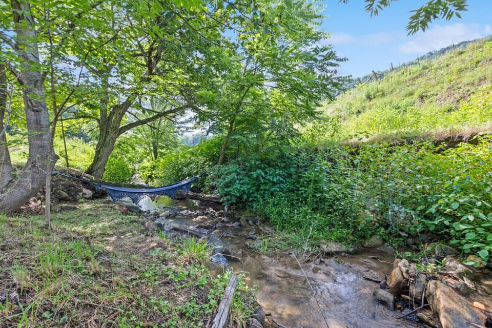 Creek with hammock