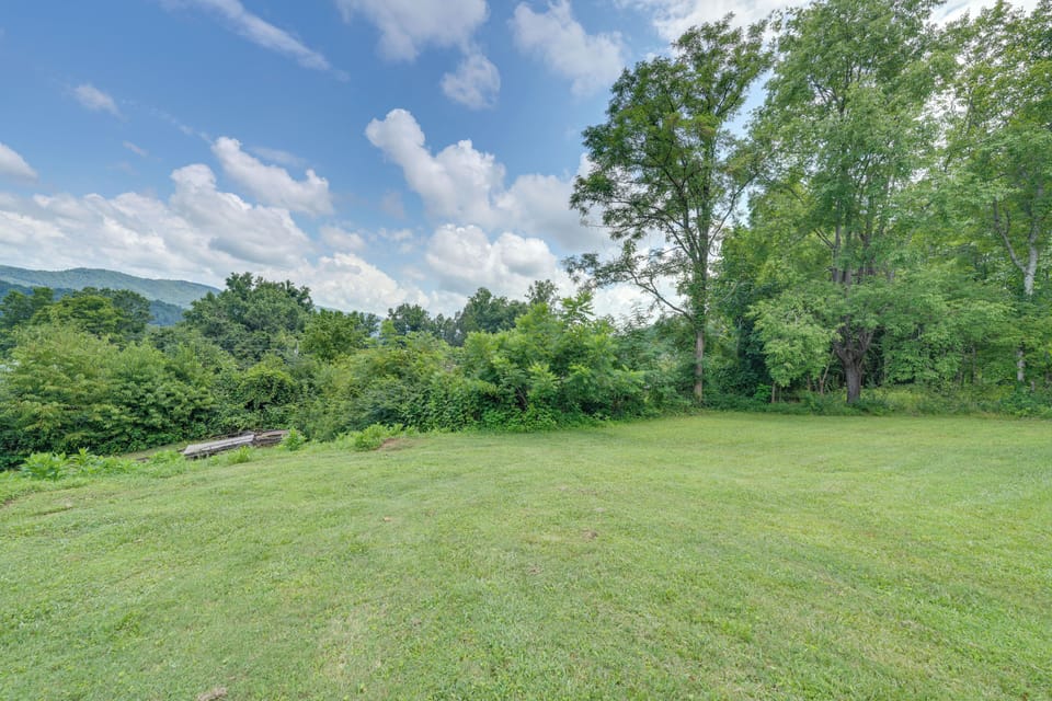 Spacious Yard