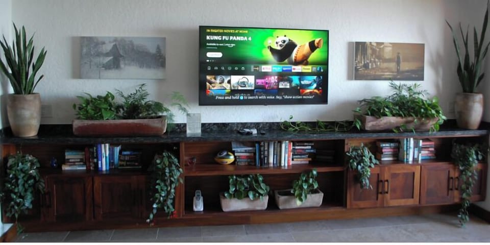 Long wooden credenza bookshelf holding plants and books beneath a large wall-mounted flat-screen television.
