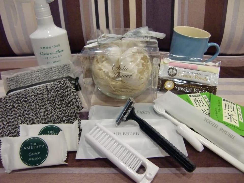 Combined shower/tub, free toiletries, hair dryer, slippers