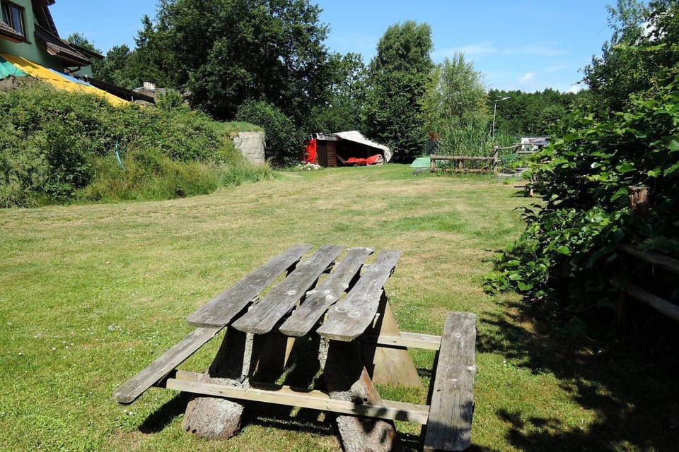 Garden [summer]
