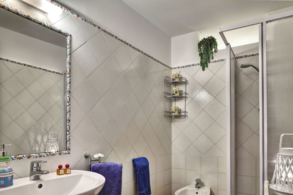 Panoramic House | Bathroom | Shower, hair dryer, bidet, towels
