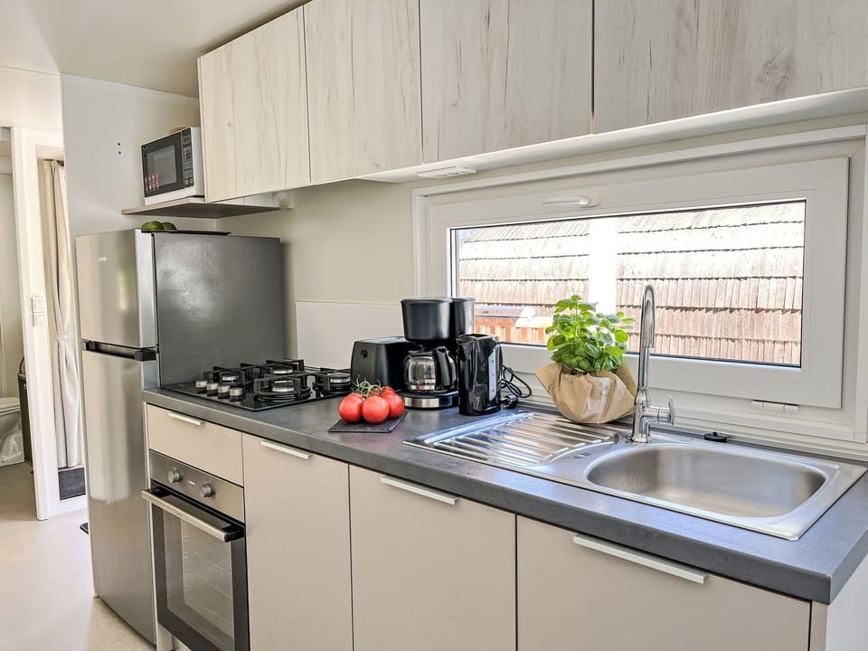Kitchen Appliance, Kitchen, Countertop, Major Appliance, Home Appliance, Kitchen Stove, Stove, Interior Design, Cabinetry, Kitchen Sink
