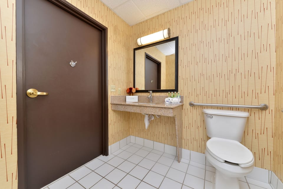 Combined shower/tub, free toiletries, hair dryer, towels
