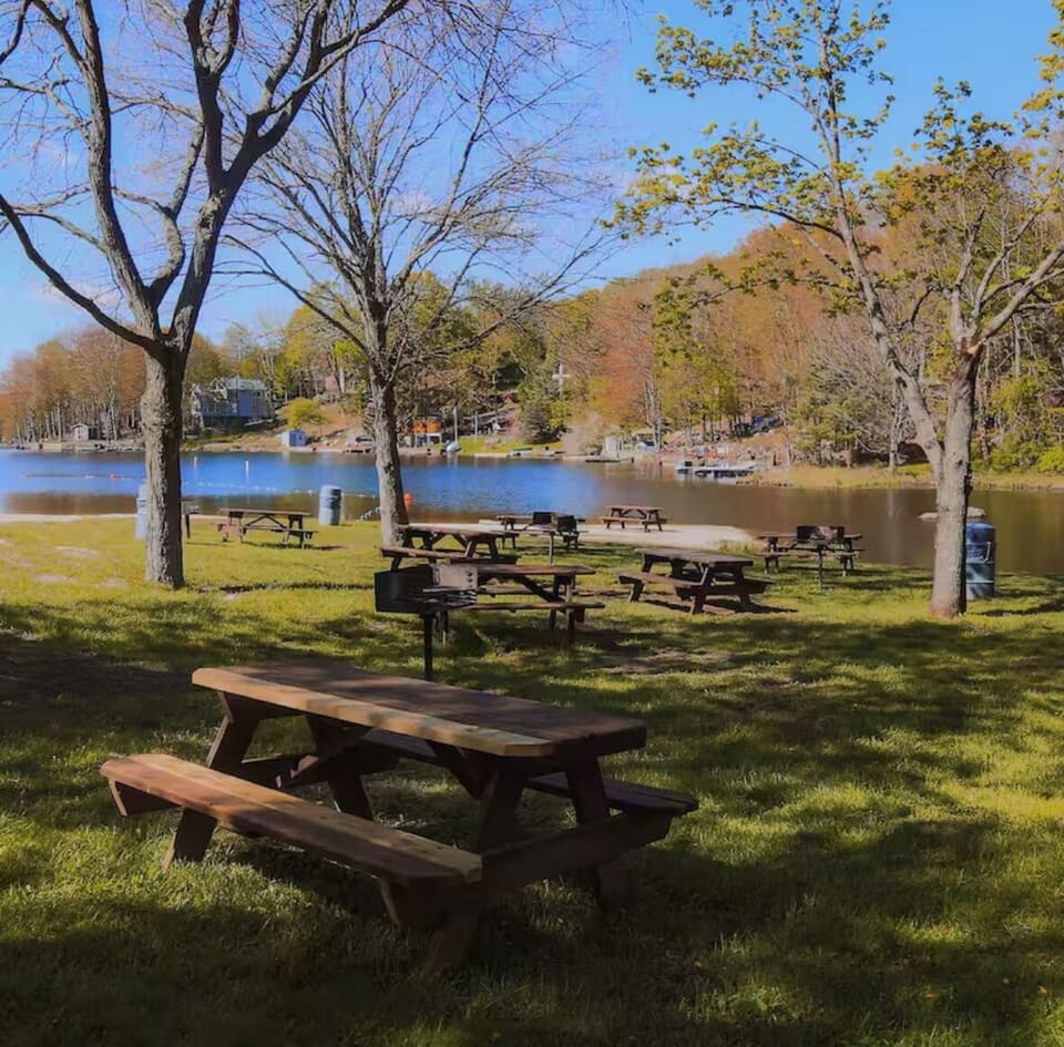 enjoy bbq on the lake