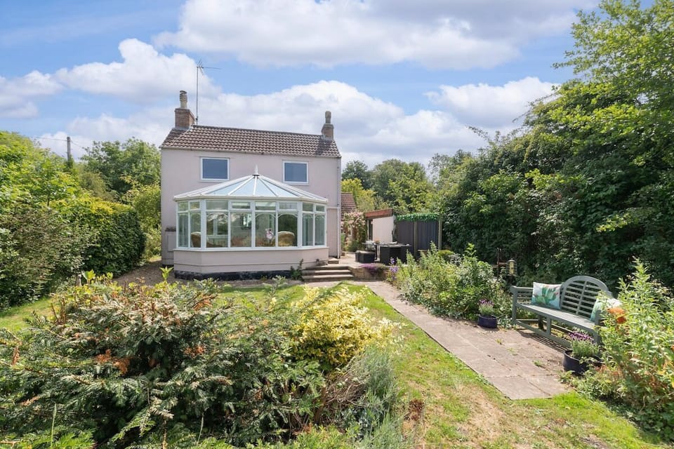Back Garden