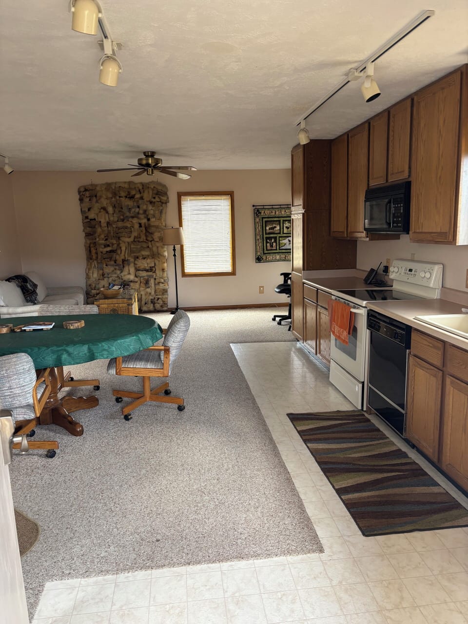 Dining room, kitchen and living room without the pull out bed made 