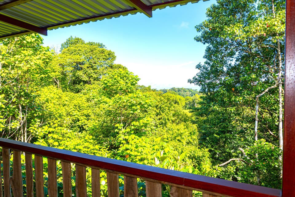 Corcovado Tropical Garden Lodge in Puntarenas Province