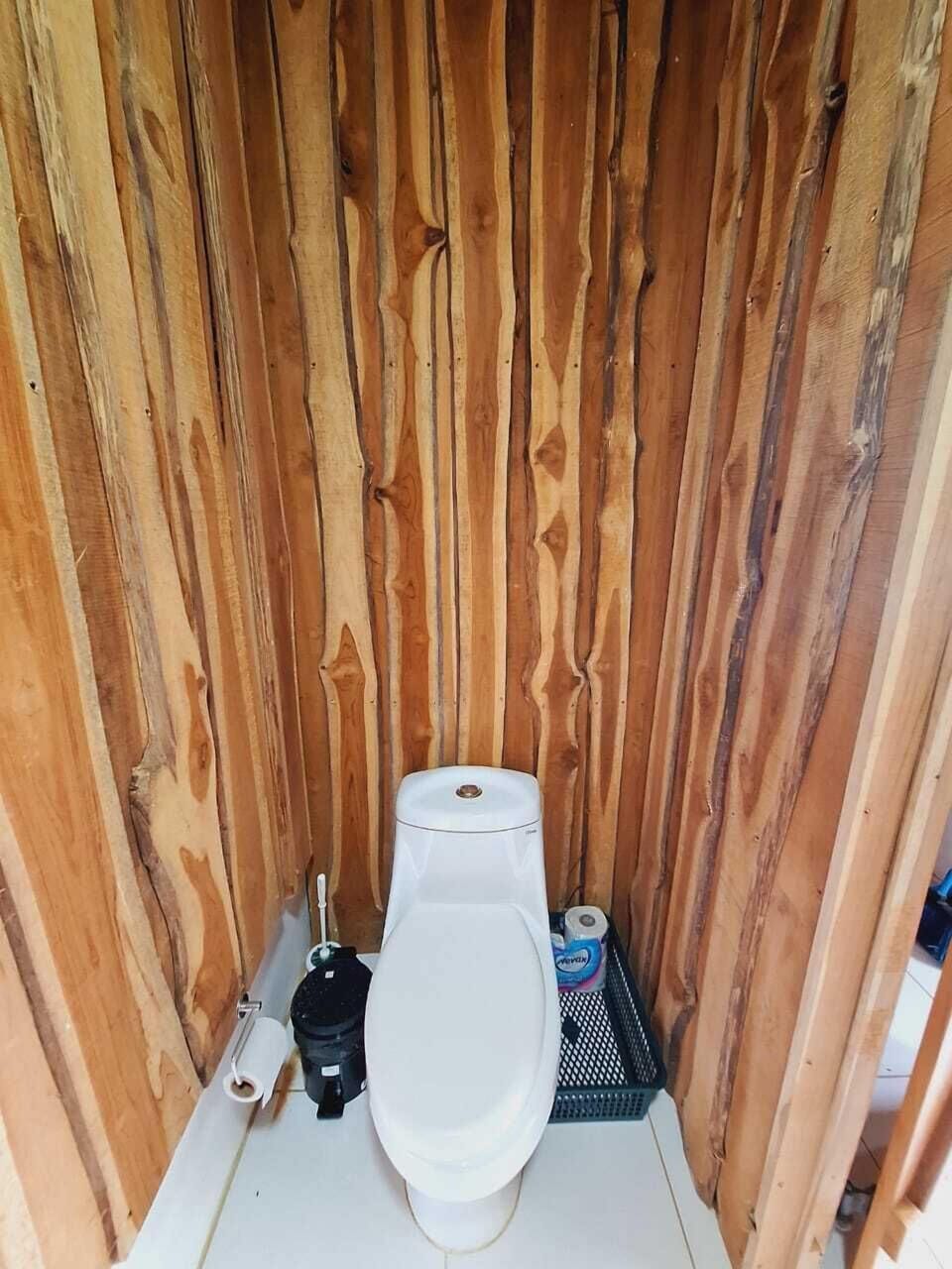 Shower, soap, shampoo, toilet paper
