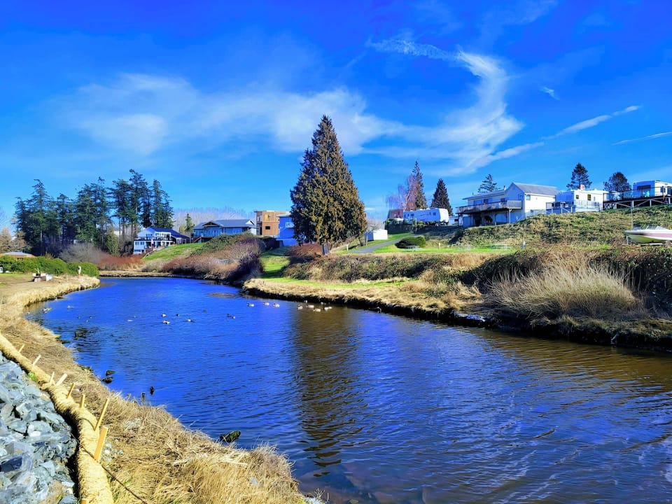 The Carvan sits at the edge of Terell Creek.  Birds and ducks love this creek.  This was taken on a brilliant November day
