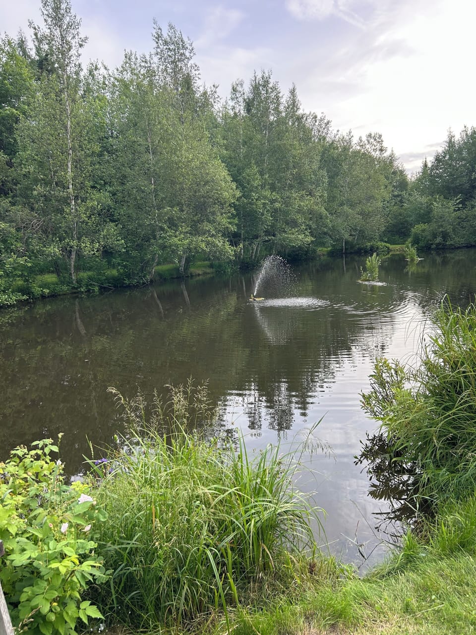 Trout pond on property that is stocked. Easy access for catch and release. 