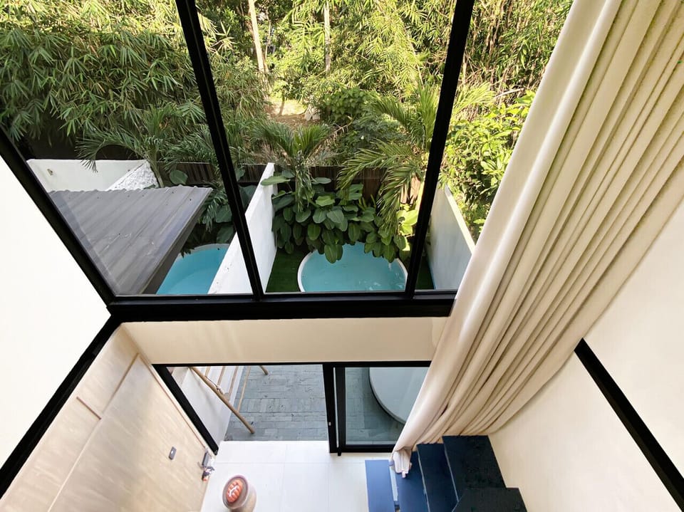 Jungle View