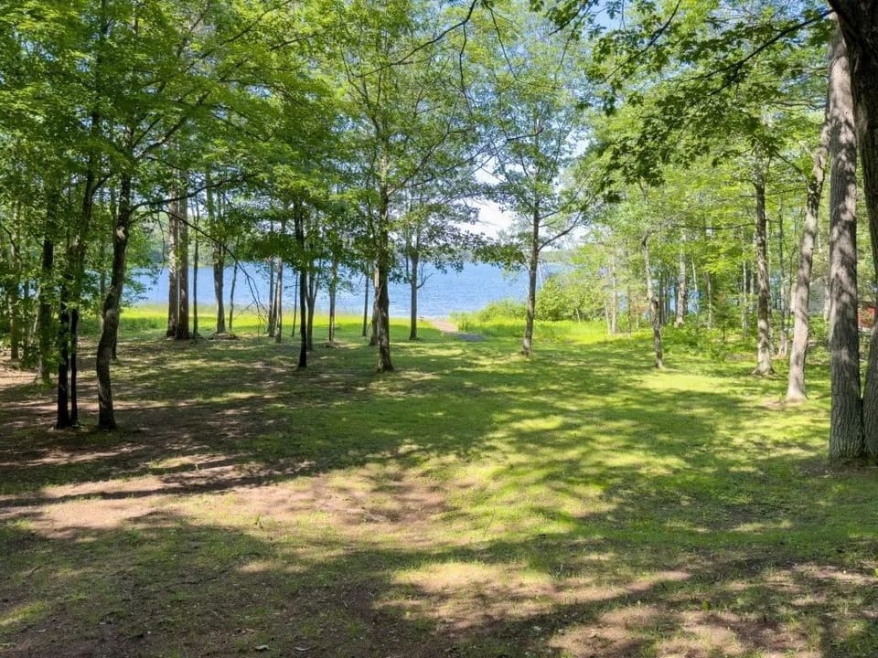 The expansive yard is adorned with tall trees, providing a tranquil space that leads directly to the lakefront.