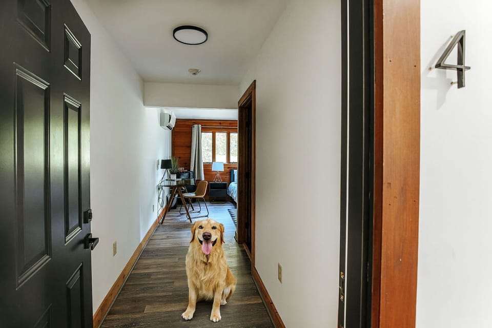 Our ADA‑accessible suite offers comfort for all, with the added bonus of being pet‑friendly so you can bring your furry friends along.