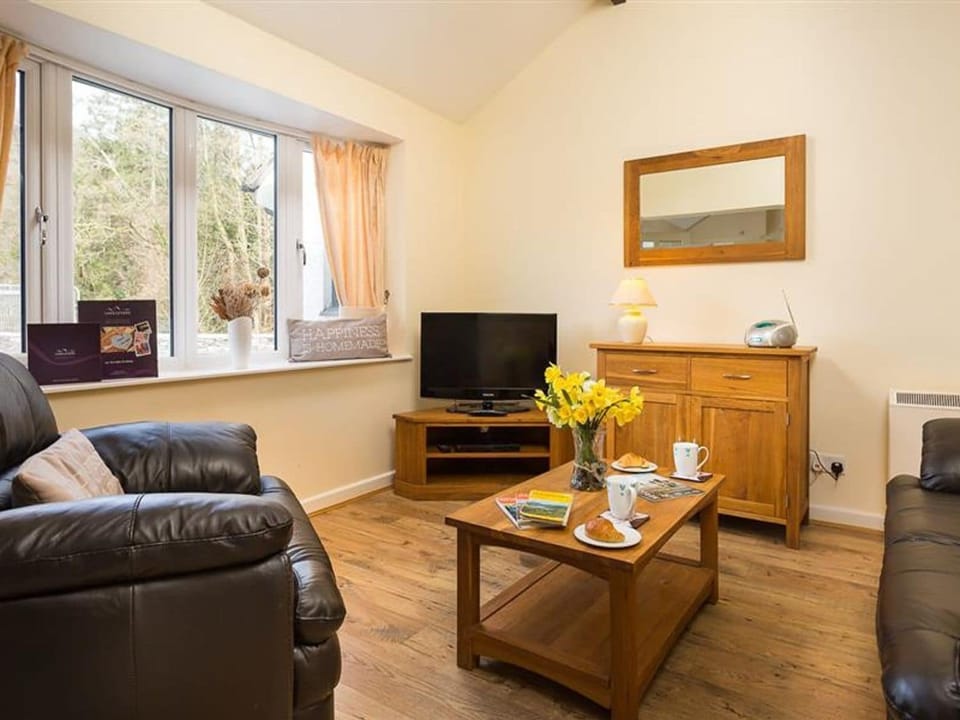 Fireplace, DVD player