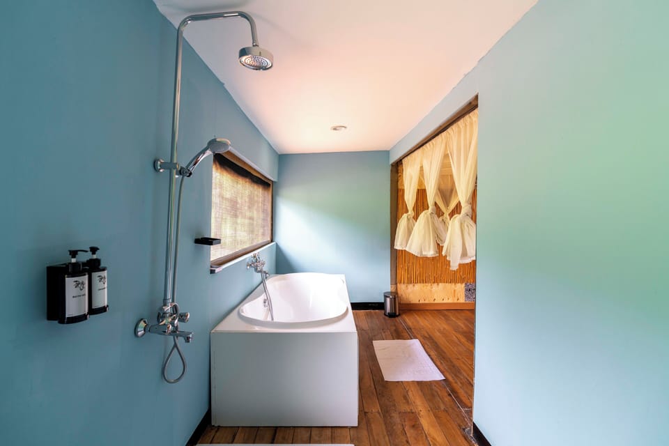 Separate tub and shower, free toiletries, hair dryer, towels