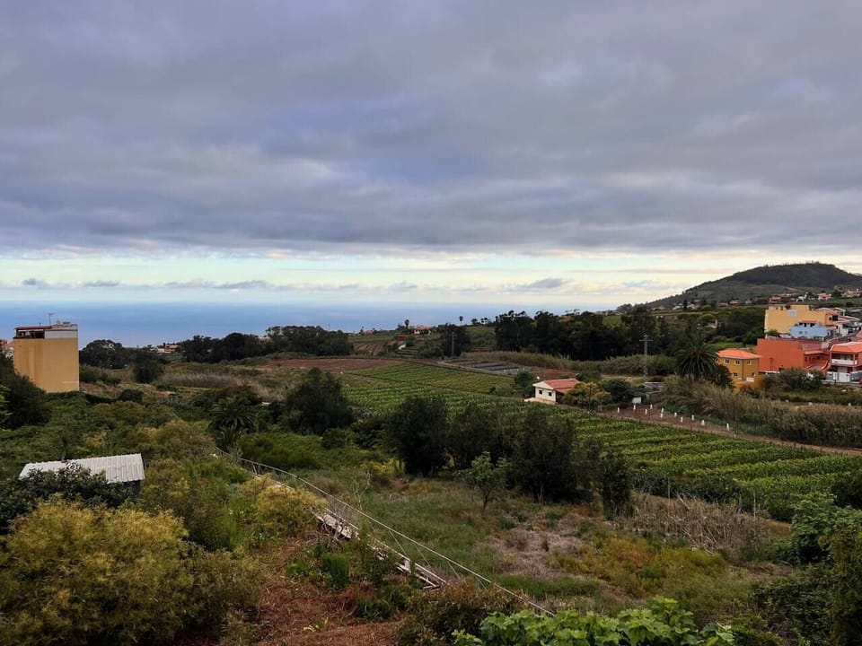 Vista panorámica (4)