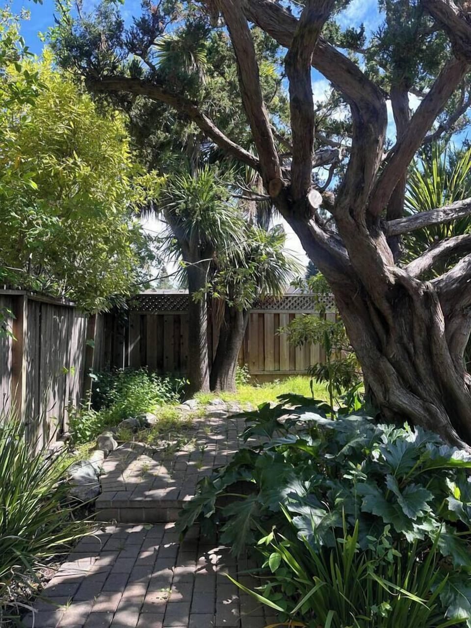 b81197c1-91a9-40d2-920d-a4a5d2428890