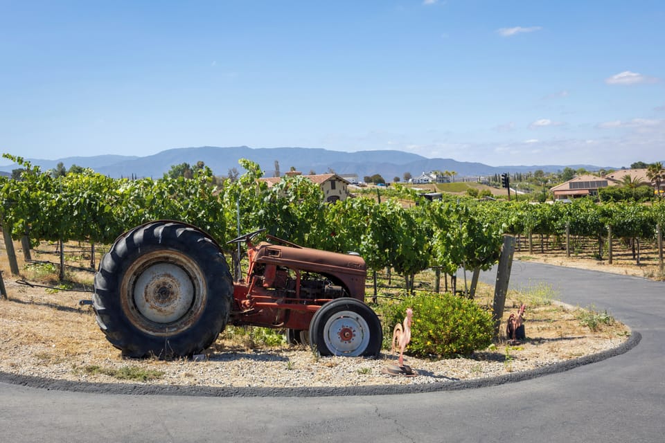 A vintage tractor adds rustic wine-country character among the vineyard rows, with mountain views stretching across the horizon.