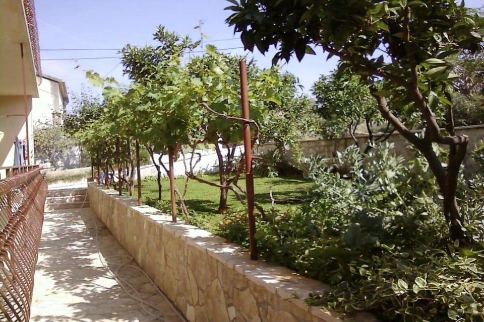 Garden [summer]