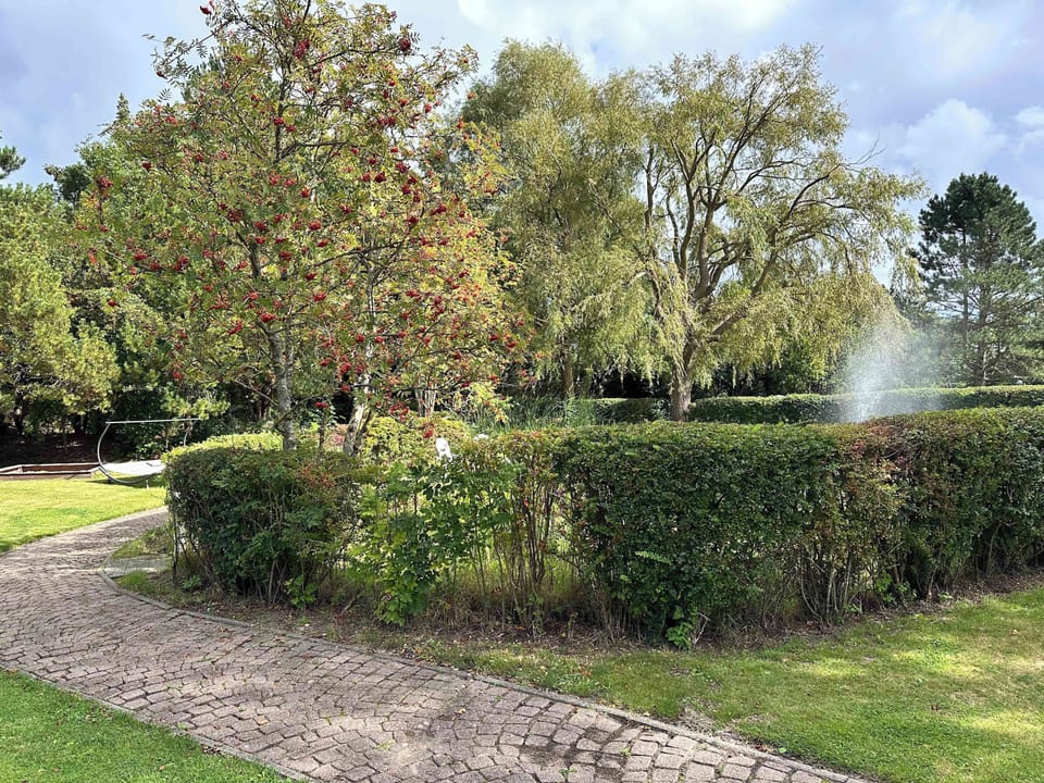 Gartenansicht mit See.