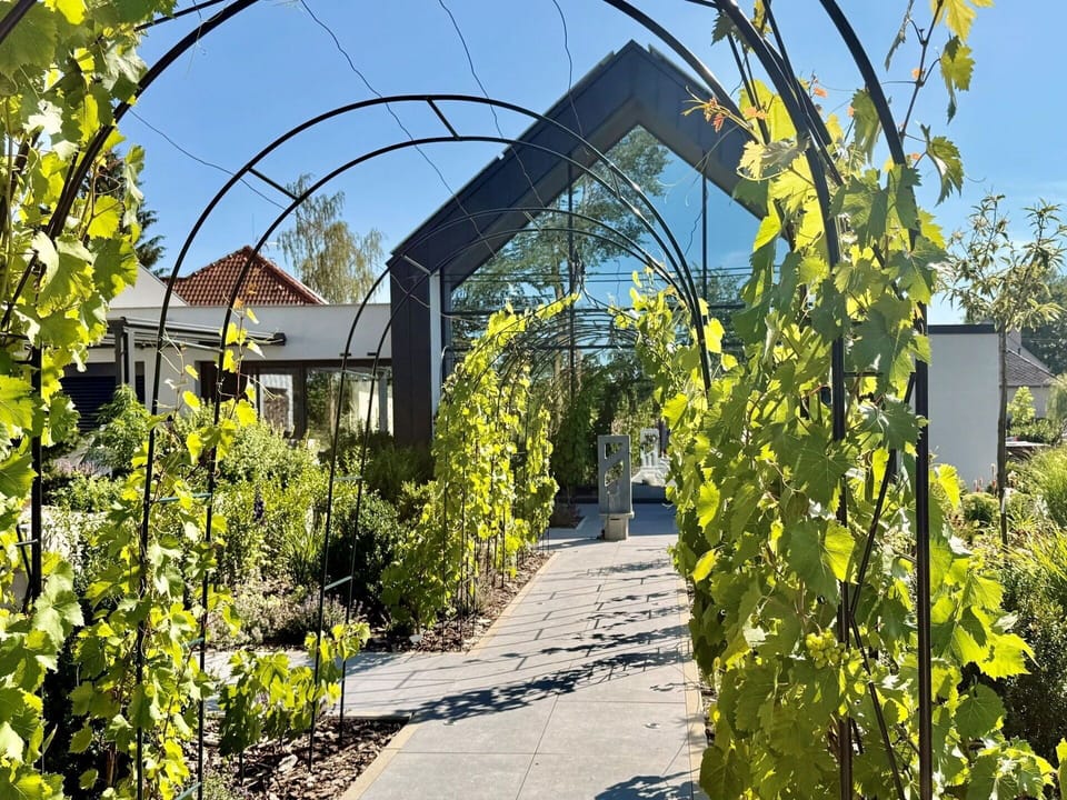 Garden, Shade, Botanical Garden, Plantation, Outdoor Structure