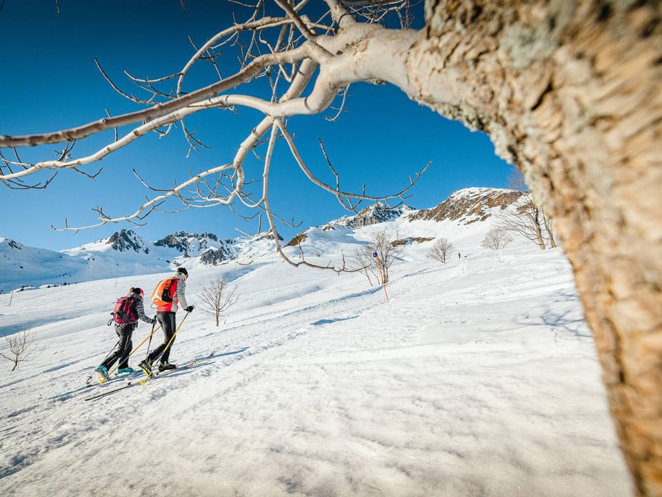 Snow and ski sports