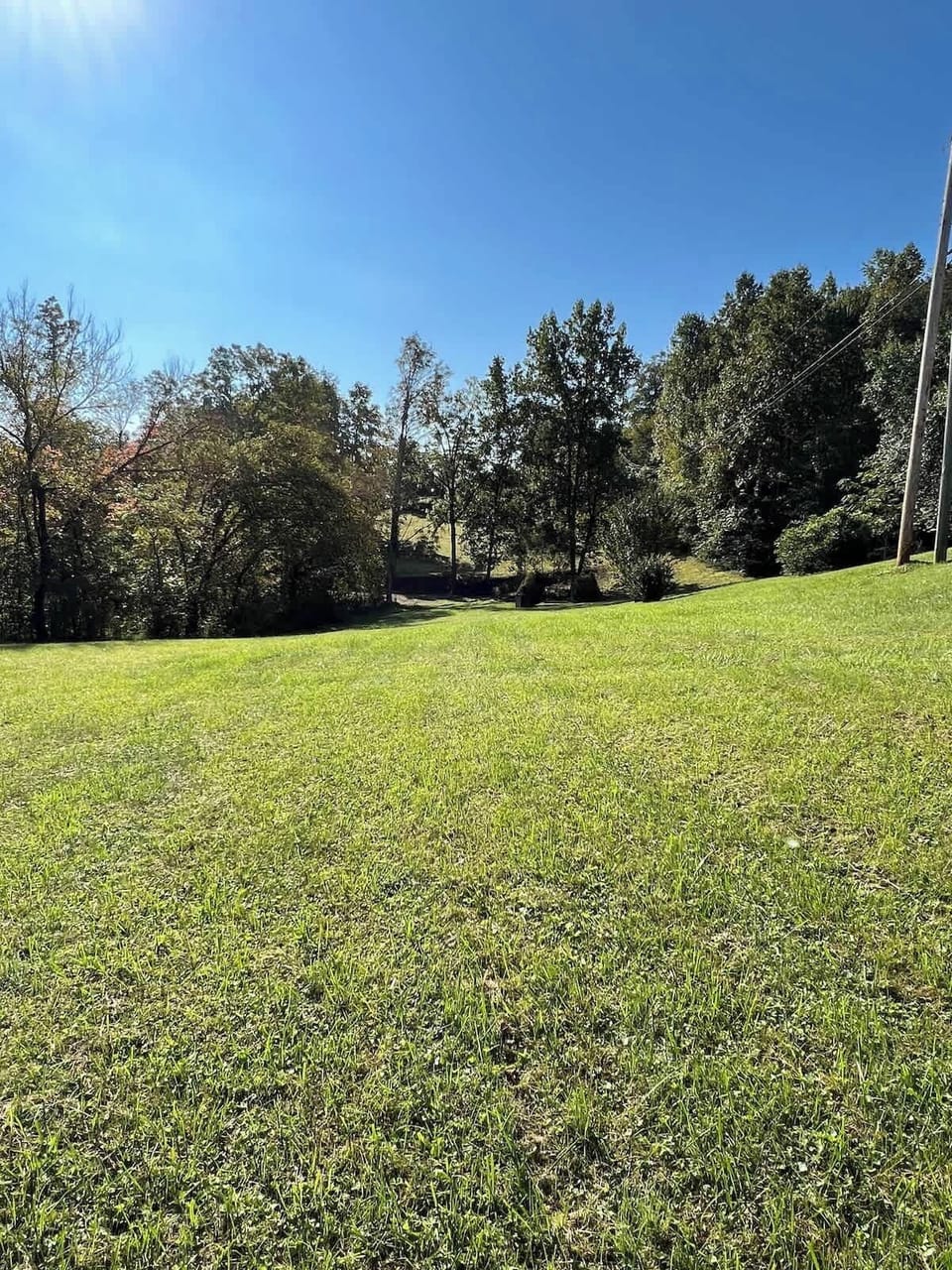 The view of the drive coming up the hill.