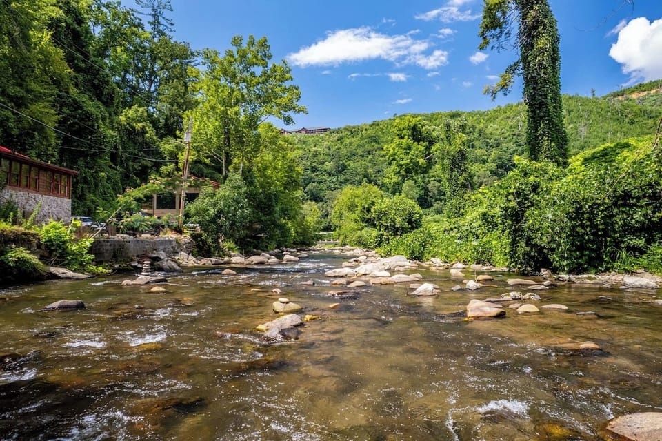 Right in front of Camp River Run.  Look down the river, lots of nature to see.