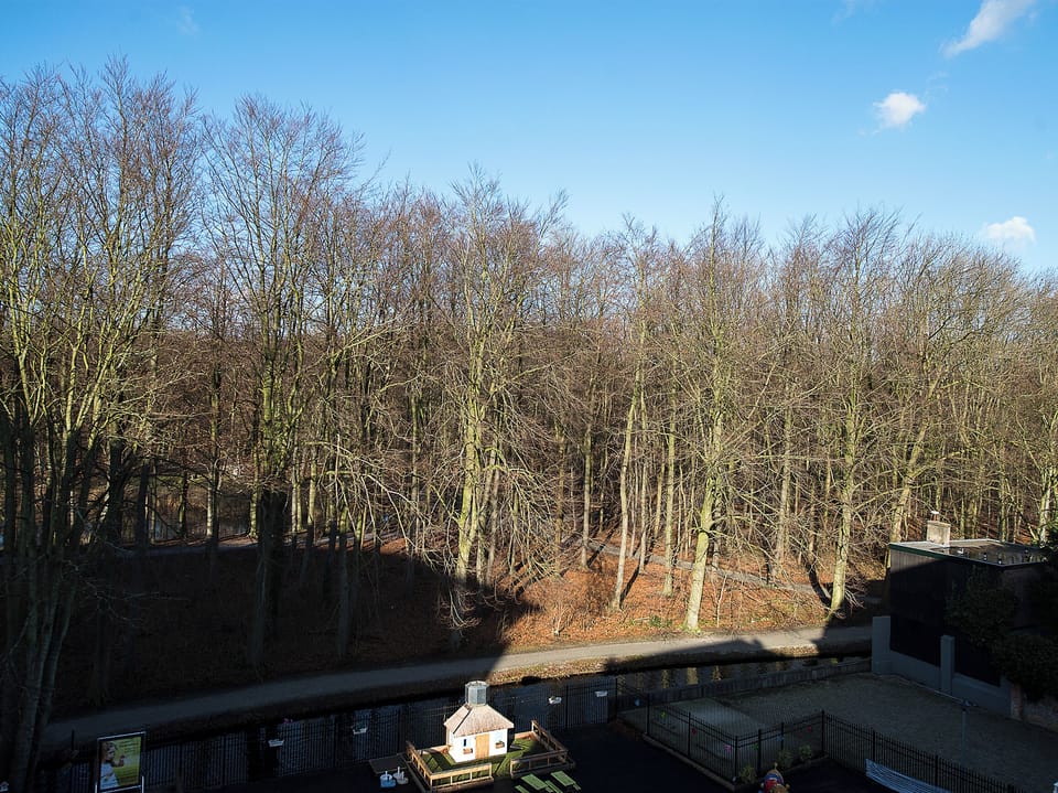 View from room