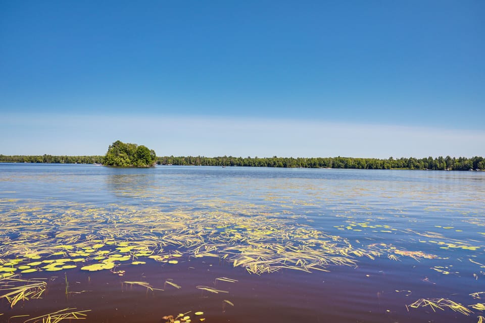 View From Dock