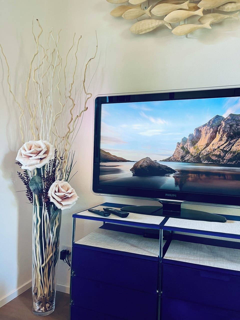 Television
