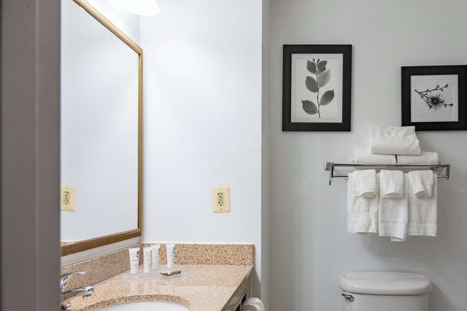 Combined shower/tub, free toiletries, hair dryer, towels
