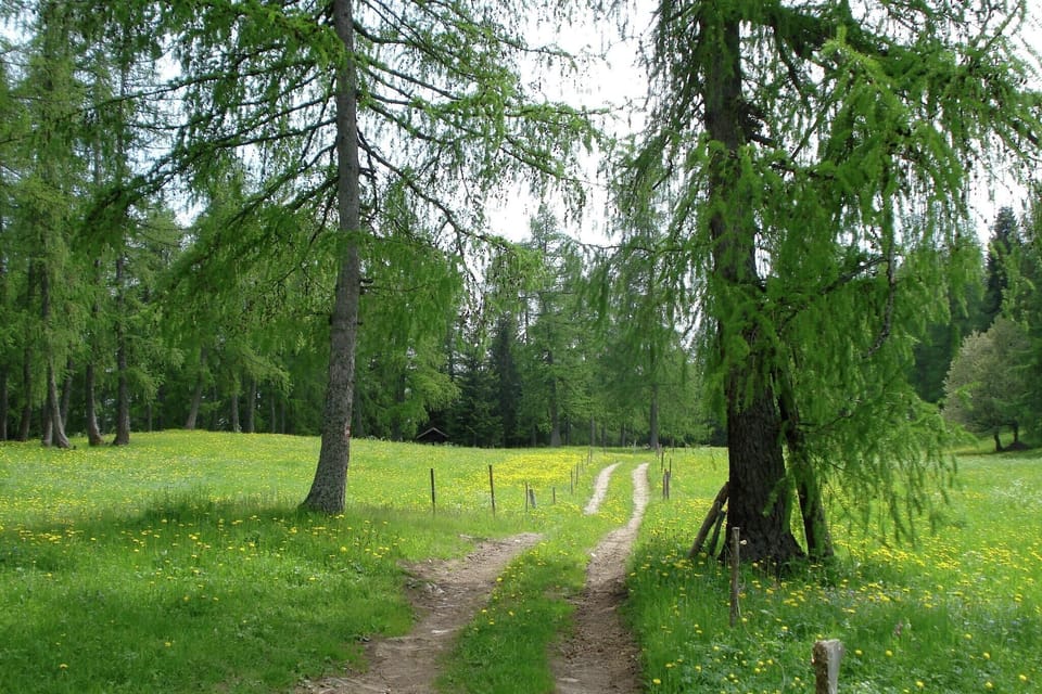 Surroundings [summer] (1-5 km)