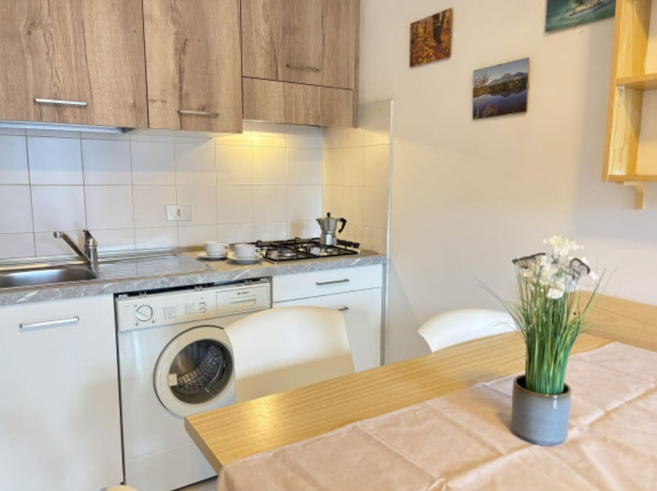 Apartment, 1 Bedroom, Balcony, City View | Laundry