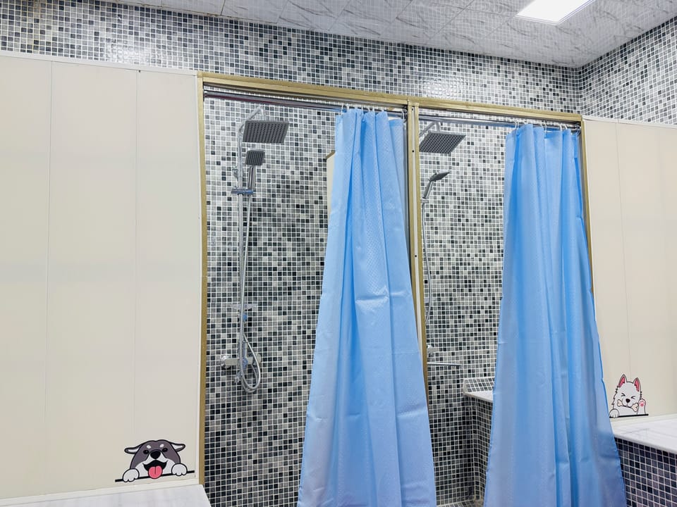 Comfort Shared Dormitory | Bathroom | Hair dryer, slippers, towels, soap