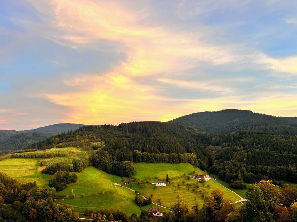 View from property
