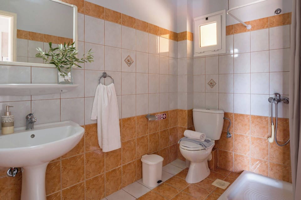 Classic Double Room, Courtyard View | Bathroom | Shower, towels, toilet paper