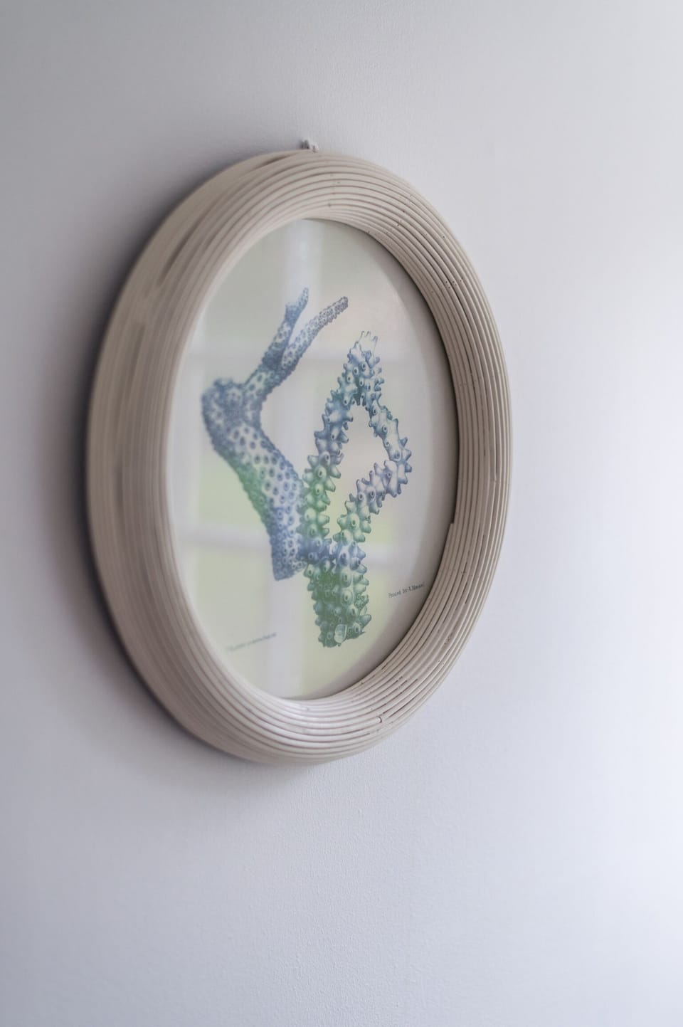Decor (2)