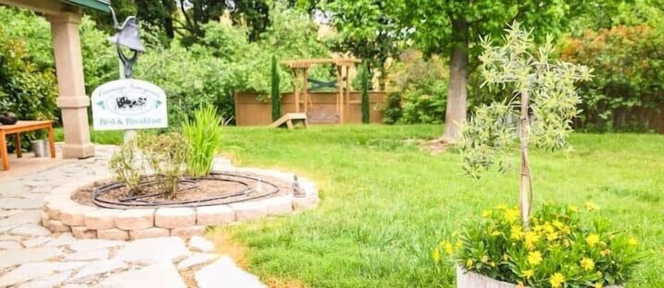 Garden (4)